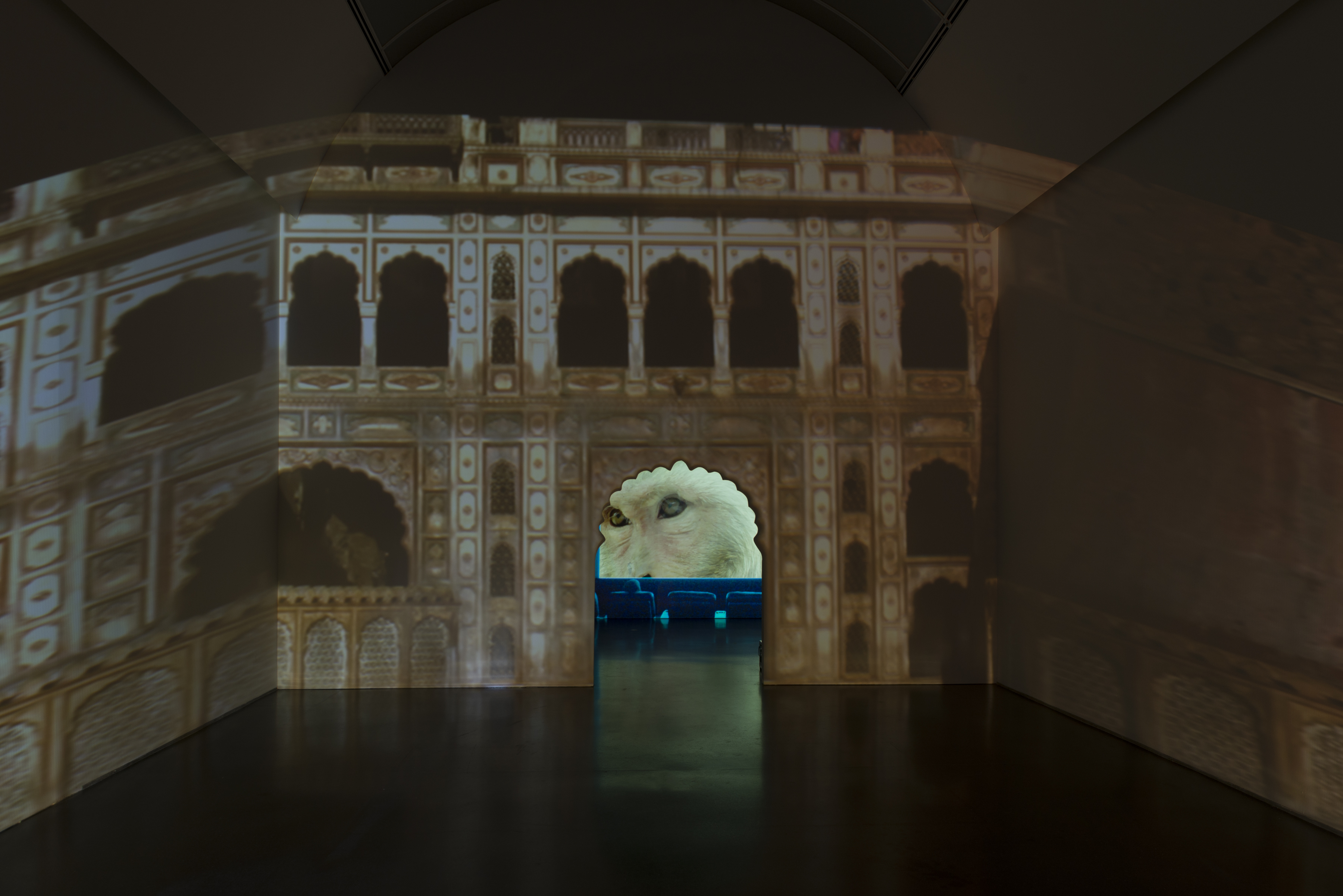 dianathater_20161028_095_1