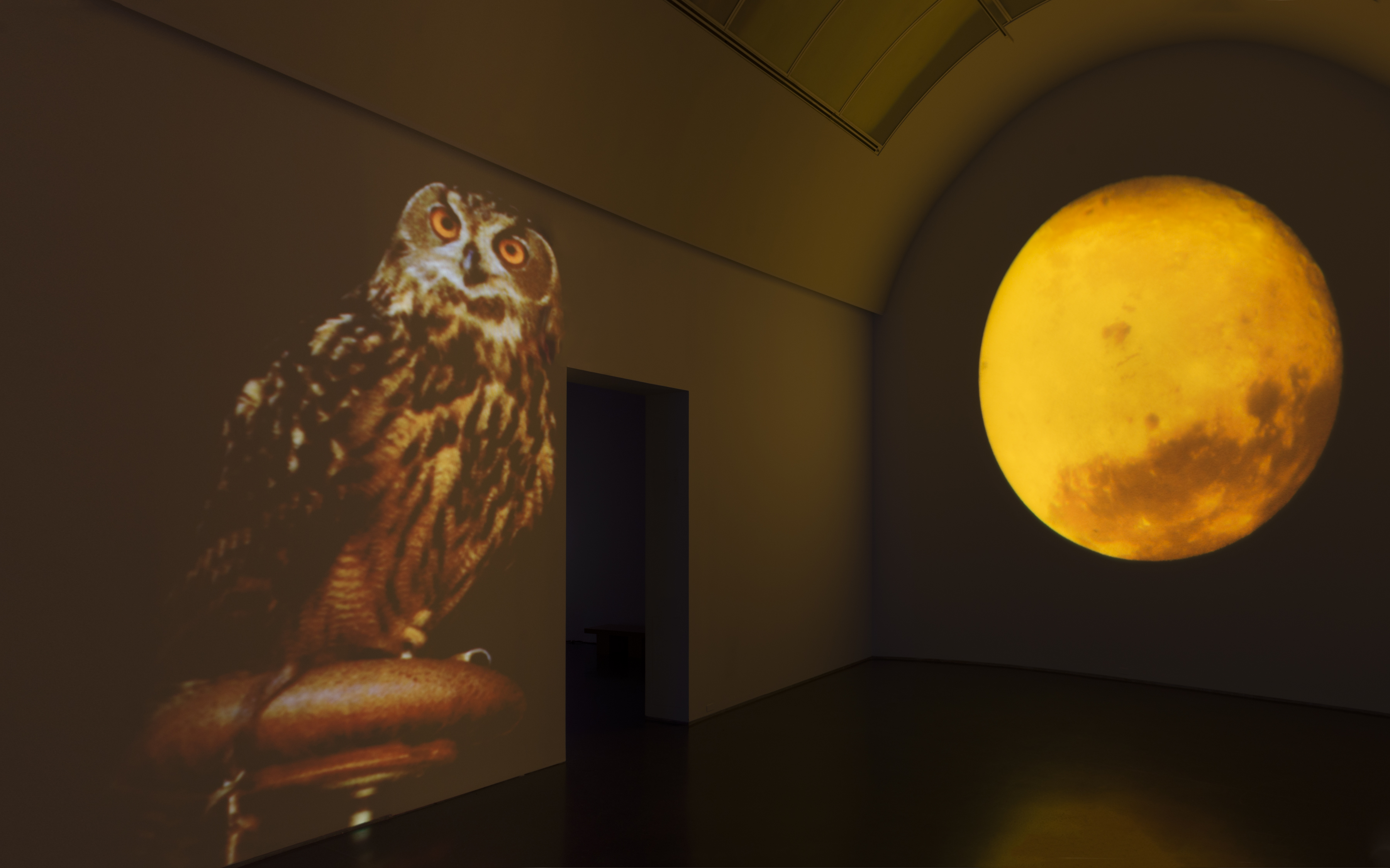 dianathater_20161107_2